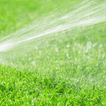 Essential Irrigation Tips to Conserve Water