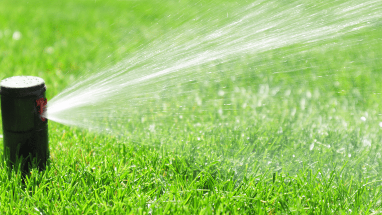 Essential Irrigation Tips to Conserve Water