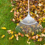 Landscape Maintenance Tips Transitioning to Autumn