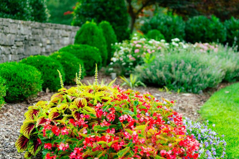 beautiful plant landscaping services